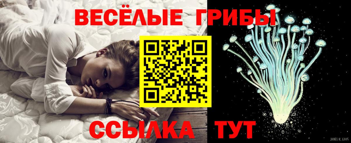 Псилоцибиновые грибы Psilocybine cubensis  Галлюциногенные грибы MAGIC MUSHROOMS  купить   Буйнакск  Вход с VPN 