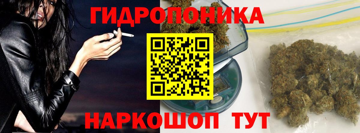 Конопля сатива  Бошки марихуана план  Вход с VPN  Буйнакск  Конопля LSD WEED 
